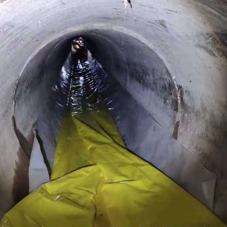 鼎湖管道光固化修复